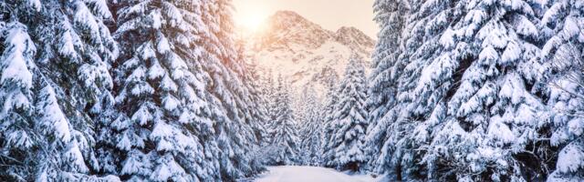 Päevahoroskoop : kolmapäev, 26. november