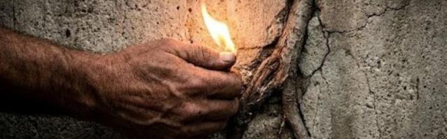 Viha – kas mürk või kütus? Miks me ei tohi oma “negatiivseid” tundeid alla suruda?