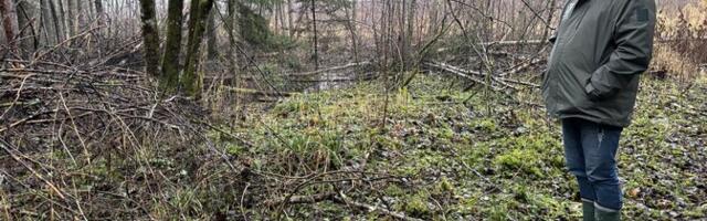 Jõgevamaalaste jaoks jääb RMK märgalade taastamise plaan arusaamatuks