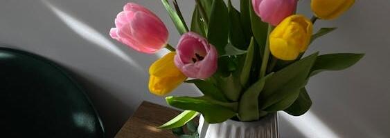 Kevad tuppa ja õue!