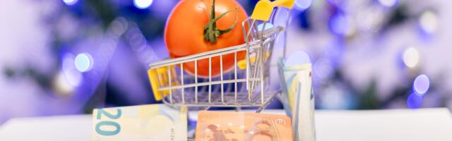 Liisingutaotleja hämmingus: miks peab pank teadma, kui palju ma toidule kulutan?