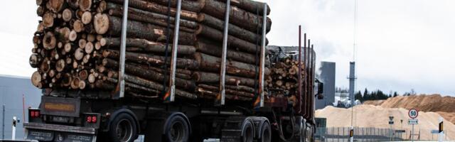 Mullu vedasid Eesti väliskaubandust keskmise suurusega ettevõtted