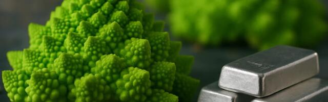 Fraktalid: kuidas loodusseadused võivad hõbeda hinna kahekordistada