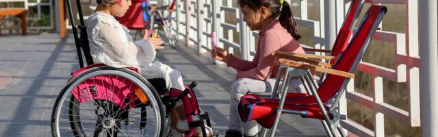 Ilmus esimene eestikeelne puudeid käsitlev piltsõnastik