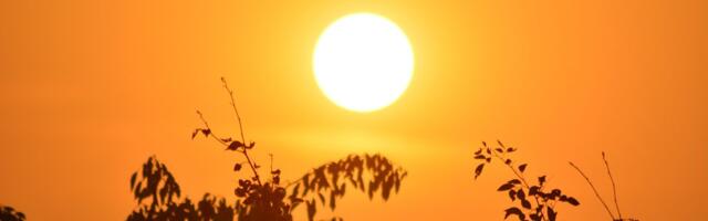 Sunce u Novom Sadu prži, ali bukvalno! Građani sproveli eksperiment: Pogledajte ŠOK rezultate