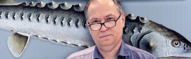 Pankrotihalduri piinad: „Kõik tahavad Konnakese käest rahhi saada, aga Konnakesele rahhi keegi anda ise ei taha“