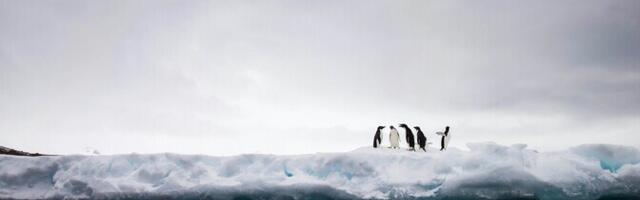 Antarktika osooniauk sulgus tänavu tavapärasest varem