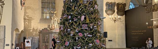 Jõulukuused Pirita kloostris  ja Niguliste kirikus