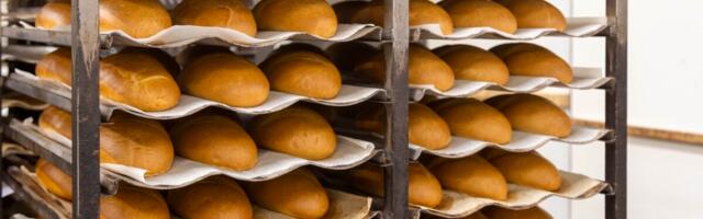 Eesti kaubavahetus pöördus 2025. aastal kasvule