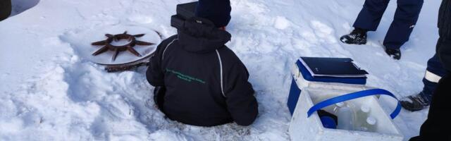Matka küla kaevud reostas naabruses ladestatud sõnnik