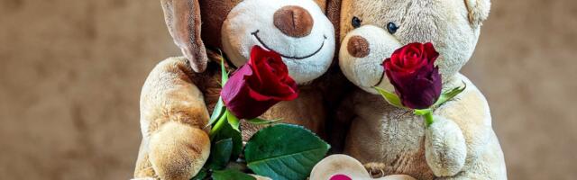 Siseministeerium valis turvalisuse arenguprogrammi uued partnerid - kaasatud on ka Paide linn