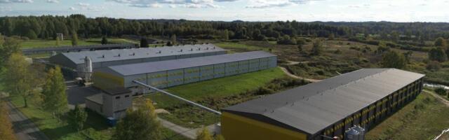 Baltimaade suuruselt kolmas munatootja läheb börsile: tootmismaht kasvab oluliselt