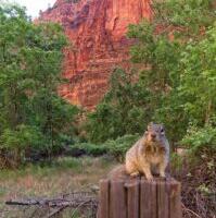 Lõputult kulukad ambitsioonid
