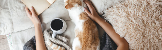 Piilu naabri raamaturiiulisse: 5 populaarseimat teost Elisa Raamatus