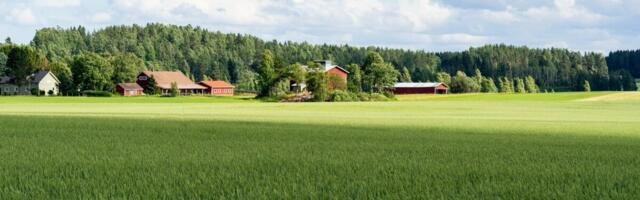 Maale elama: riik käendab 200 000-eurosest kodulaenust kuni 150 000