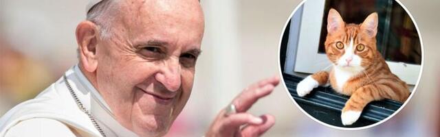 Paavst Franciscus süüdistas lemmikloomasõpru isekuses