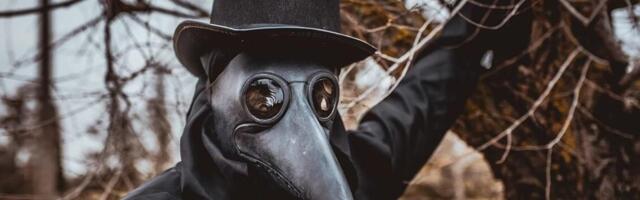 Uus uurimus: inimtegevus Eestis 14. sajandi Musta surma ajal hoopis kasvas