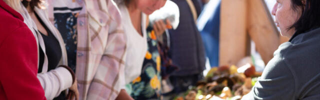 HEA AASTA | Hiiumaa seenesügis pakkus rohkelt puravikke