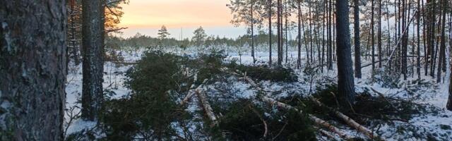 Rail Baltic_ sellest saab kaitseväe harjutusväljade kõrval Eesti suurim lageraielank