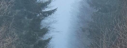 Martti Laurson NÄDALA FOTO