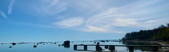 Kaarel Zilmer NÄDALA FOTO