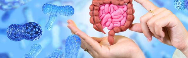 Uuring näitab seoseid soolestiku mikrobioomi ja II tüüpi diabeedi riski vahel