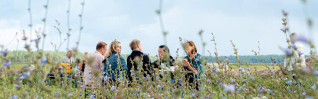 SUUR GALERII | Kodukohvikud tõid saare melu täis