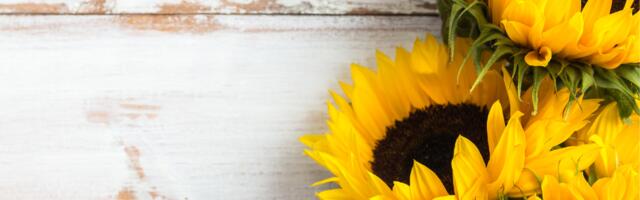 Numeroloogia : mida toob meile tänane päev (11. august)?