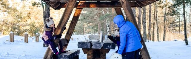 RMK kutsub matkama: talvises metsas näeb nii mõndagi, mida muul ajal ei märka