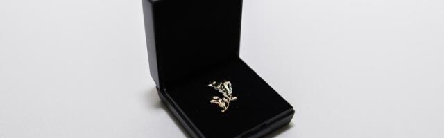 Tartumaa kõrgeima teenetemärgi Tartumaa Kuldne Tammeoks kavalerid 2026 on selgunud