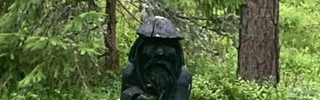 PILTUUDIS | Saladuslik metsapäkapikk Kalanas