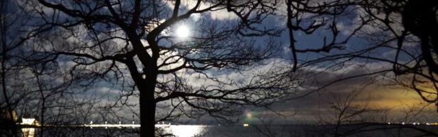 Jaanus Volmre NÄDALA FOTO