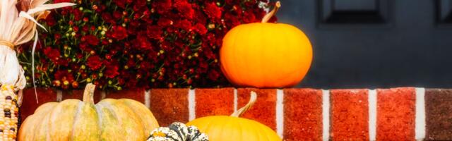 Nädalahoroskoop 17.–23. november: mida toovad järgmised päevad armastuses, töös ja rahalistes asjades?