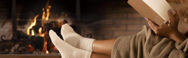 OLE TEADLIK I Mida jälgida puuküttega ahjude ja pliitide juures?