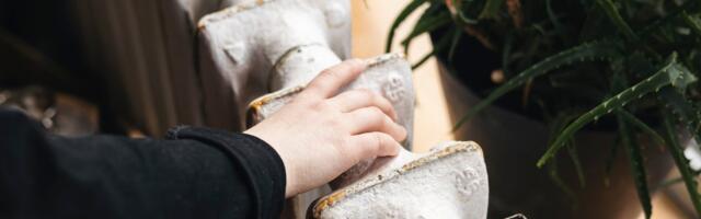 Leedu aitab elanikel sel talvel suuri küttearveid tasuda. Eesti minister Sutt_ lühiajalised asjad ei käi kuskilt lülitist