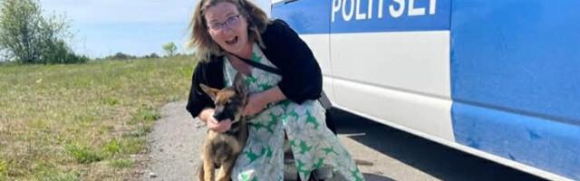 Staažikas telerežissöör Elo Selirand pistis kaante vahele ekraanitagused seiklused kuulsate kolleegidega