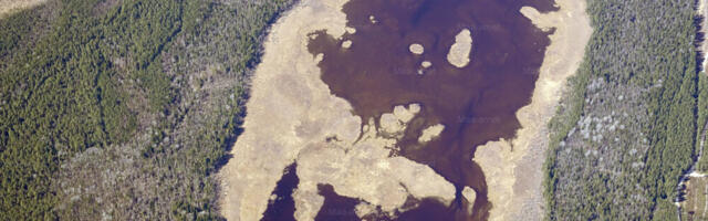 VEEKOGUDE OLUKORD | Koostööprojekt aitab veekogude seisundit parandada