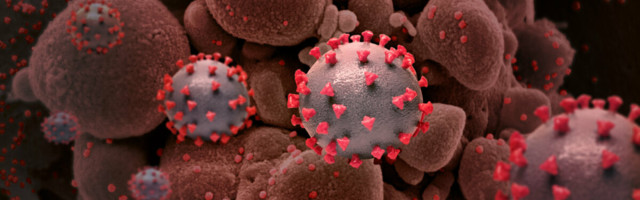 Terviseamet: koroonaviiruse Briti tüvi ei ole peamine süüdlane nakatumise tohutus kasvus