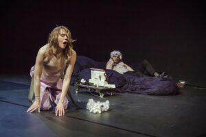 Teatrikastiga varjatud karje