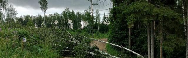 OTSEBLOGI JA FOTOD | Kas torm lööb punktikatsel kaardid sassi? Puud on teele kukkunud, start hilineb!