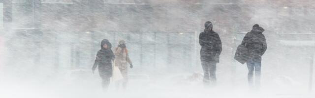 TORMIBLOGI | Lumetorm vallutab Eestit, teeolud muutuvad väga keeruliseks