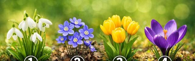 Kevadine test: vali üks lill ja saa teada, millise muutuse kevad sinu ellu toob