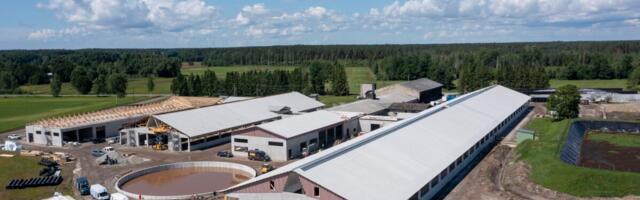 Pärnumaale kerkib ligi 1000 loomale uus laudakompleks