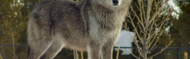 Mitte midagi ei toimu ehk Iga päev on põhjust tähistamiseks