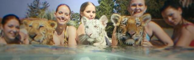 Netflix väntas «Tiigrikuninga» esoteerilisest naistemehest jahmatava doki