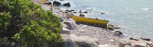 Head uudised_ Eesti välisõhk on järjest puhtam