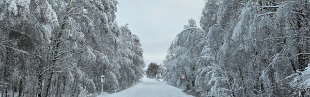 Otepää Talveralli toob Kambja valla teedele liikluspiirangud