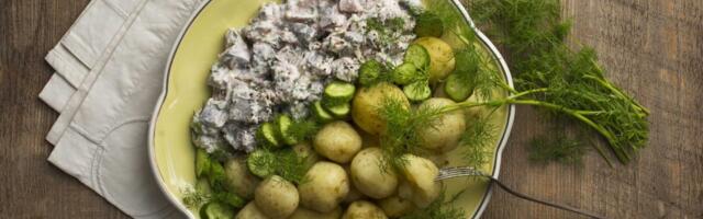 HÕRK JA KÜLM KALAPÄEV | Tsatsikiheeringas