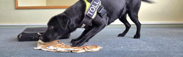 Ööpäevaringselt on tollipunktis ametis mitte ainult tolliametnikud, vaid ka meie neljajalgsed kolleegid