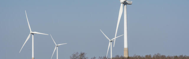 Võtke või jätke: tüüpiline Reformierakonnas pettunud valija murehala